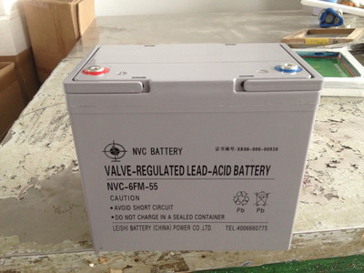 雷士12V55AH干电池 性能、价格与应用全解析